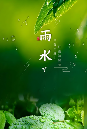 雨水.png