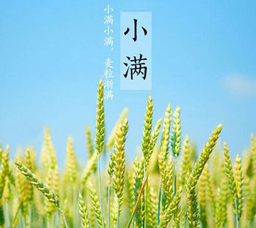 小满.png