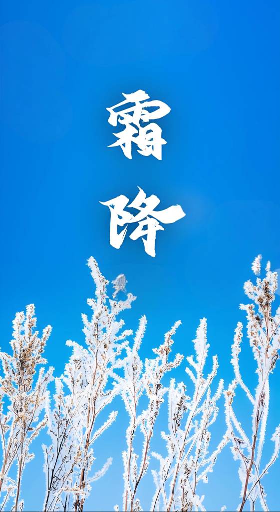 霜降.jpg
