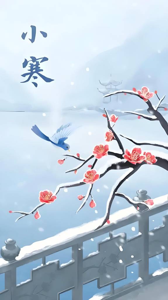 小寒.jpg